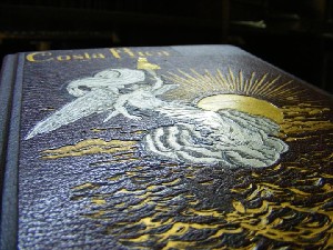 biblioteca 015 copy.jpg